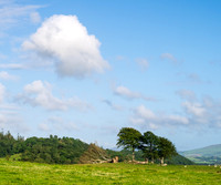 Newton Stewart -5