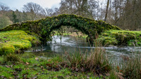 Colesbourne-16