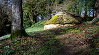 Colesbourne-22