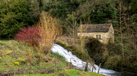 Colesbourne-6