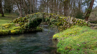 Colesbourne-15
