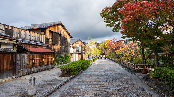 Gion-8