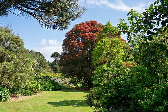 Logan Botanic Garden -12
