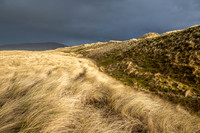 Luskentyre -12