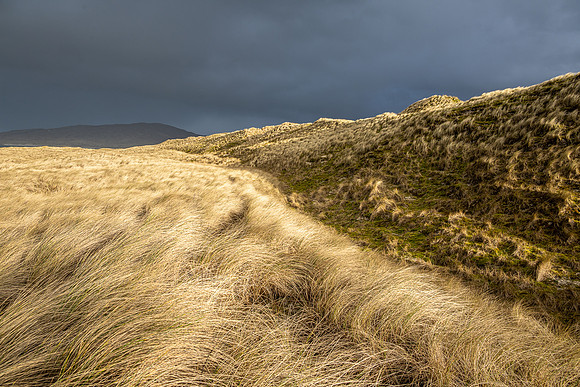 Luskentyre -12