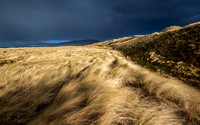 Luskentyre -14