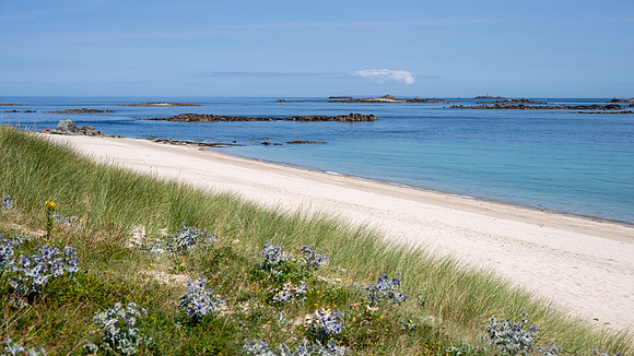 Shell Beach -1