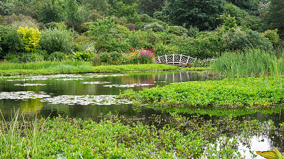 Glenwhan Gardens -12