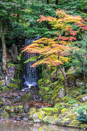 Kenrokuen-32