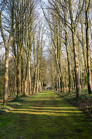 Campden House-1