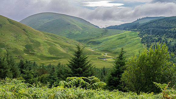 Galloway Forest Park -5
