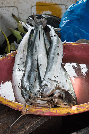 Fish and Flies in Food Market