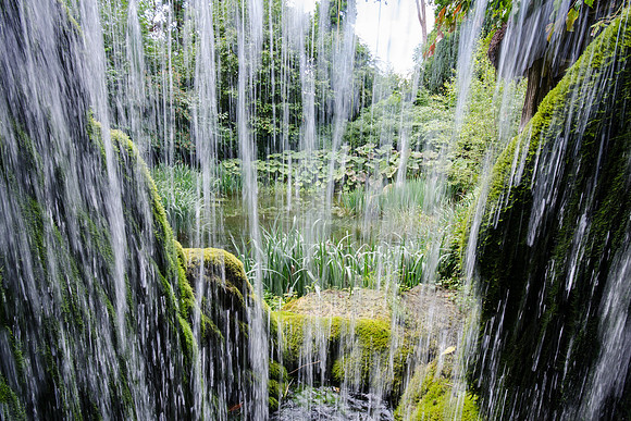 Hampton Court Gardens - 31