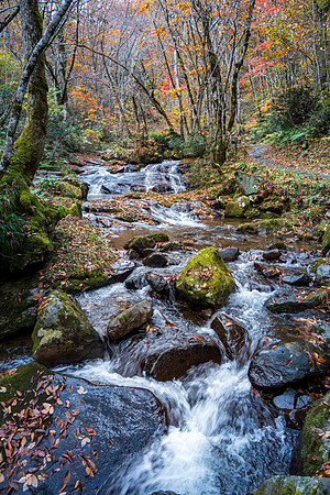 Utsue Forty Eight Waterfalls-7