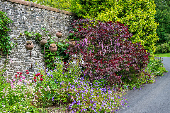 Threave Garden -12
