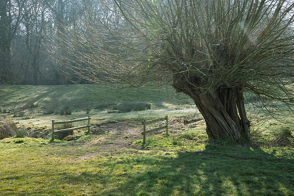 Kempley-5