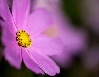 Cosmos 071024-2