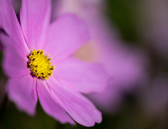 Cosmos 071024-2