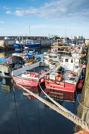 Seahouses Harbour -2