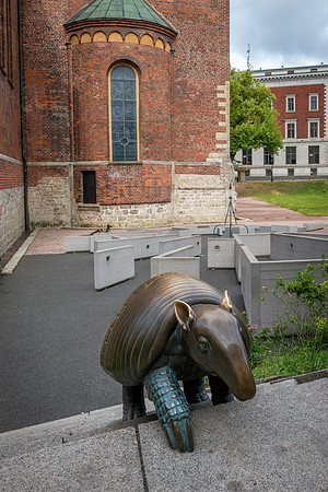 Riga -62