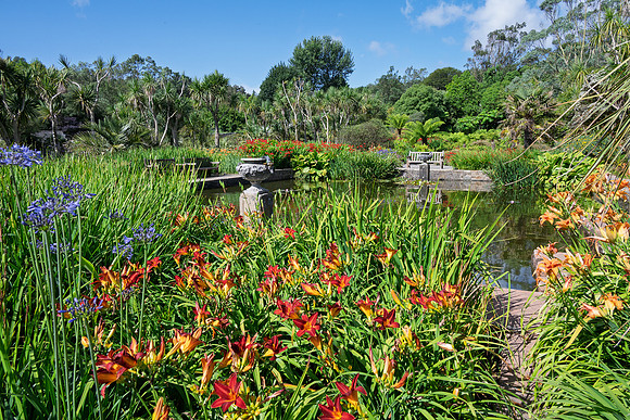 Logan Botanic Garden -6