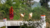 Rural Farming Village -16