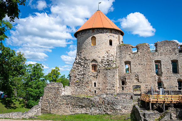 Cesis -1