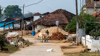 Rural Farming Village -5