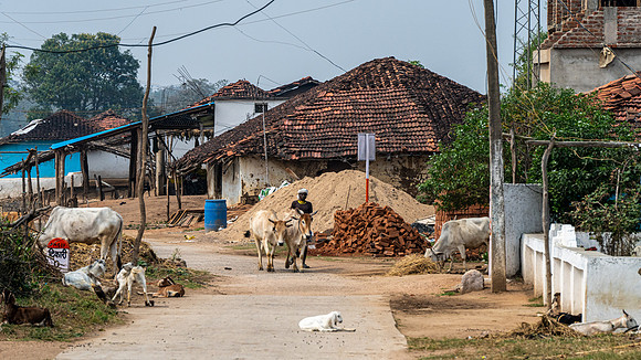 Rural Farming Village -5