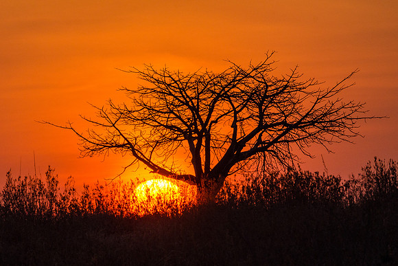 Sunrise -3