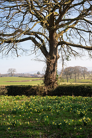 Kempley-2