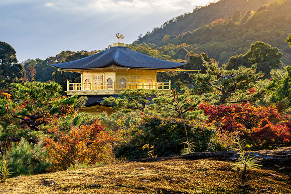 Golden Pavilion-9