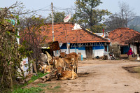 Rural Farming Village -15