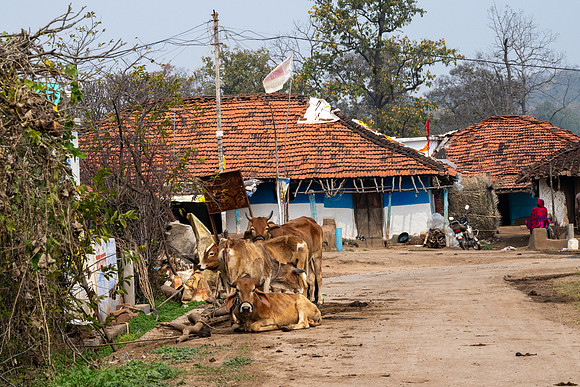 Rural Farming Village -15