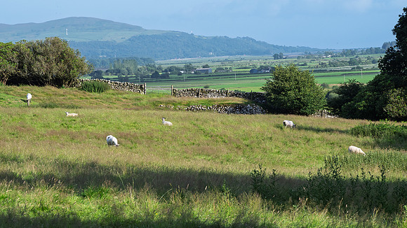 Newton Stewart -3