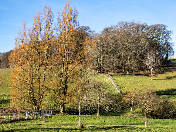 Campden House-5