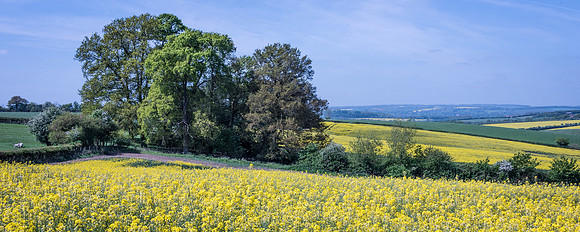 Hills Around Toddenham
