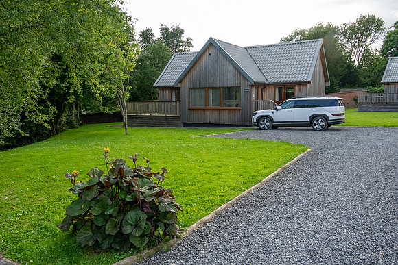Newton Stewart -2
