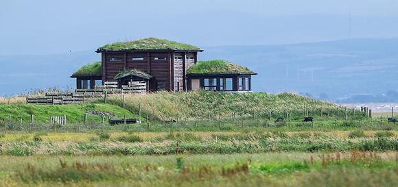WWT Caerlaverock