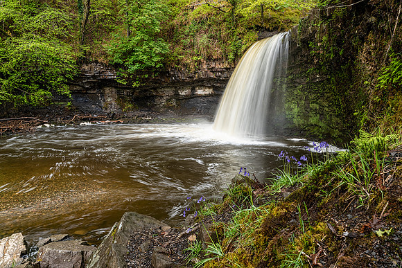 Sgwd Gwladys - Lady Falls in Spring  -2