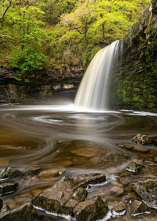 Sgwd Gwladys - Lady Falls in Spring  -4