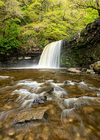 Sgwd Gwladys - Lady Falls in Spring  -5