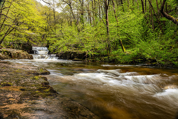 Sgwd-y-Bedol - Horseshoe Falls in Spring -1