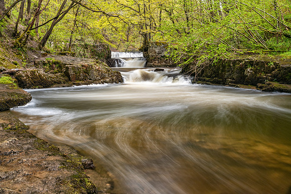 Sgwd-y-Bedol - Horseshoe Falls in Spring -2