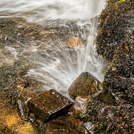 Splash