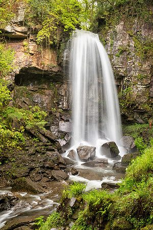 Melincourt Falls in Spring -1