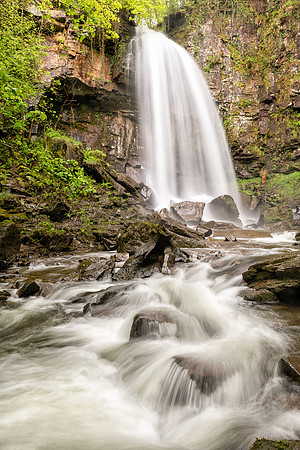 Melincourt Falls in Spring -3