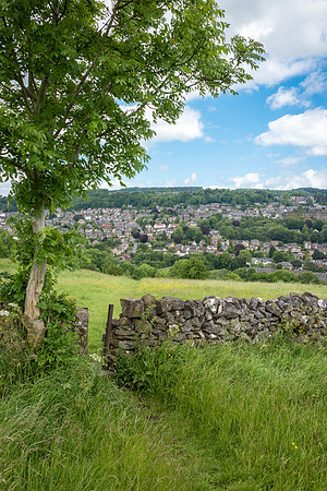 Matlock from  Masson