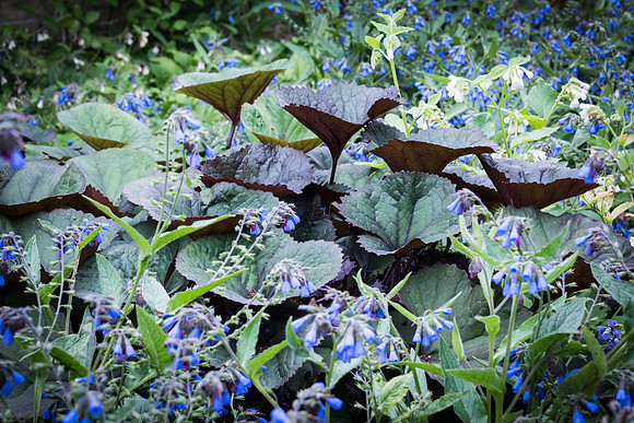 Waterperry-3