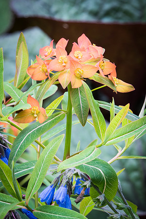 Waterperry-4